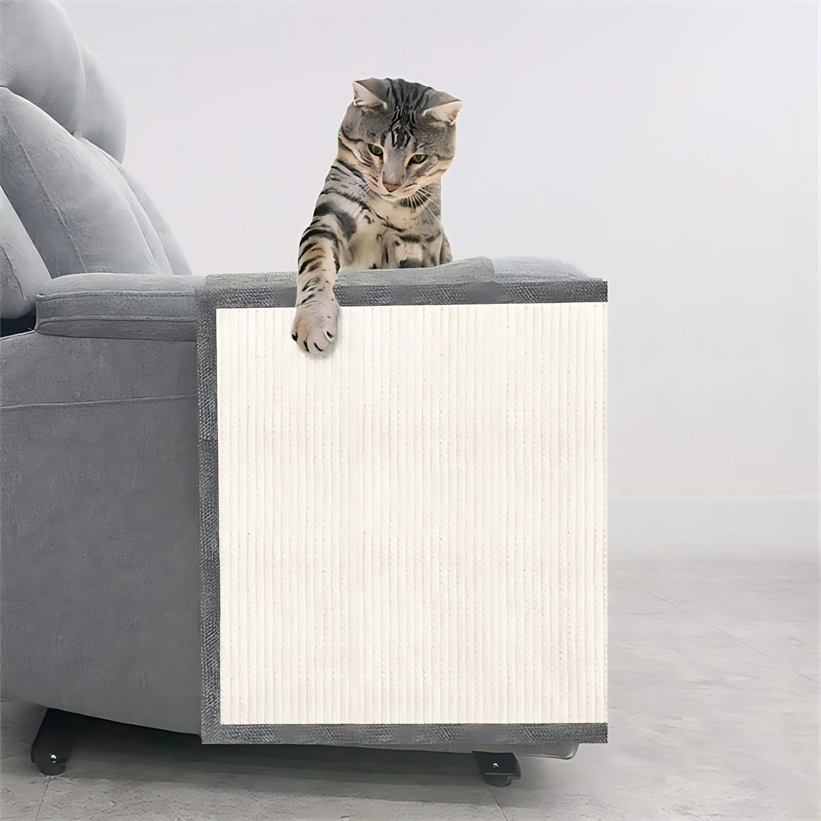 Cat Scratch Sofa Protector
